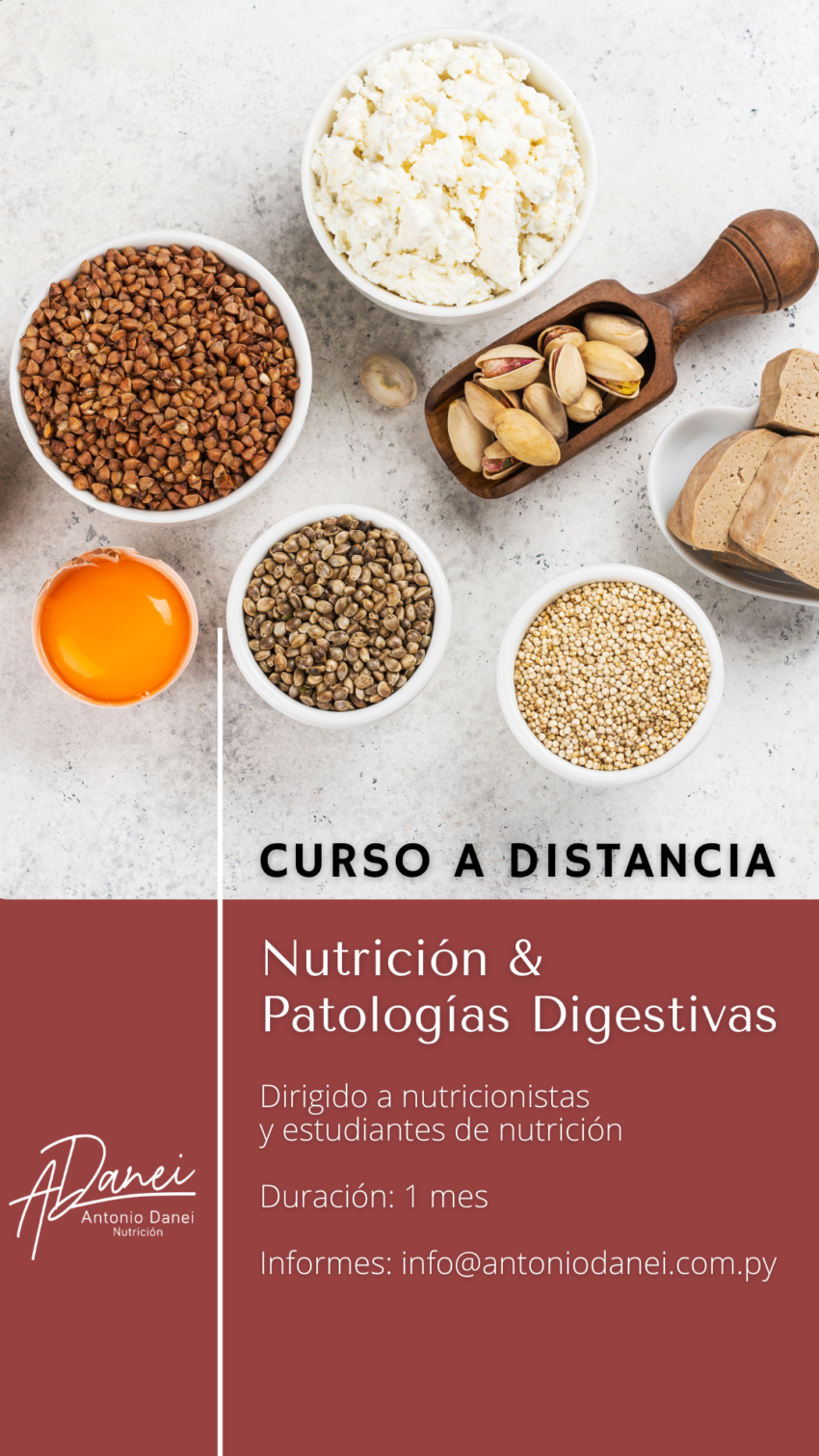 Curso Nutrición y Patologías Digestivas