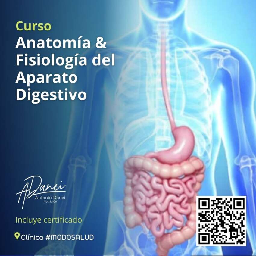 Anatomía y fisiología del aparato digestivo