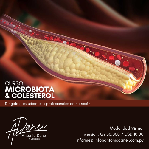 Curso Microbiota y Colesterol