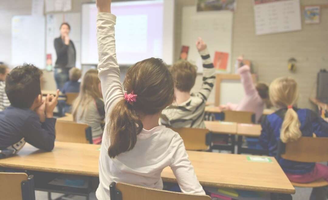 Educación Nutricional en Escuelas